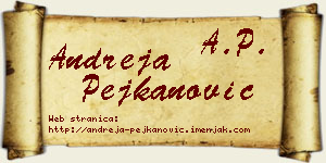 Andreja Pejkanović vizit kartica